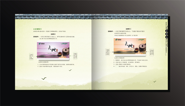 政府企業畫冊宣傳設計