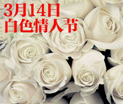 深圳廣告設計,廣告設計公司,深圳logo標志設計公司,