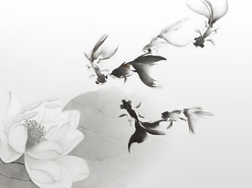 商品包裝設計,深圳商標設計公司,產品包裝設計