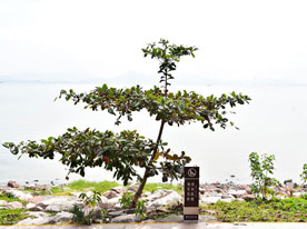 網(wǎng)站設(shè)計(jì),深圳標(biāo)志設(shè)計(jì)公司