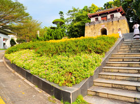 標(biāo)志設(shè)計(jì),深圳商標(biāo)設(shè)計(jì)公司